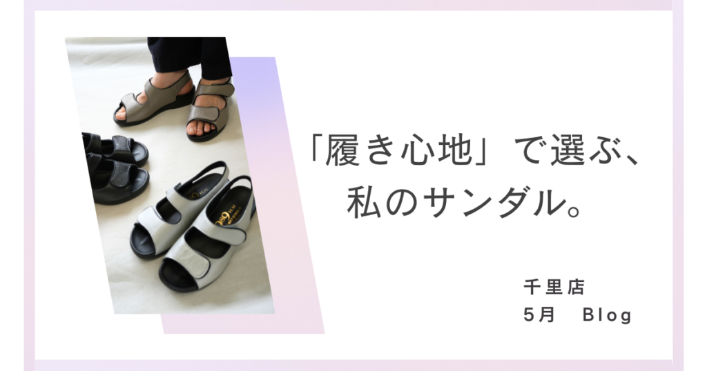 SHA2026年5月ブログ